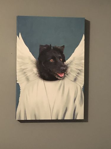Customer photo review of The Angel: Personalized Pet Canvas