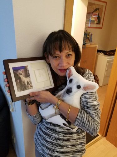 Customer photo review of Custom Dog Pillow