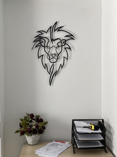 Customer photo review of Lion Head