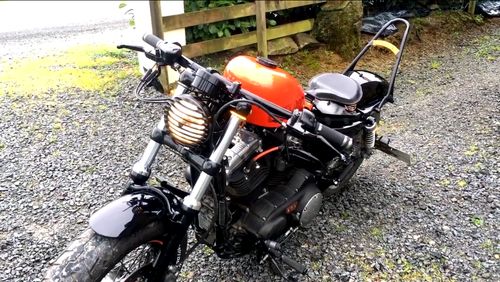 Customer photo review of Clignotants de fourche V3
