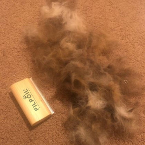 Customer photo review of Brosse Anti-Poils Chien, Chat, Cheval, Lapin | Original | Pilpoil®