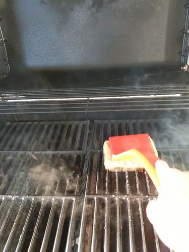 Customer photo review of Grill Brush