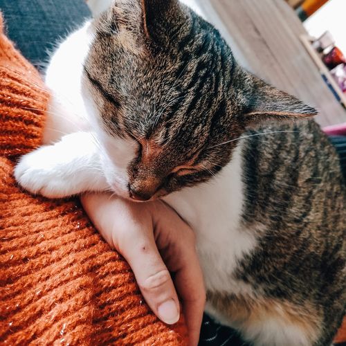 Customer photo review of POP COLORS MOBILE LIGHTROOM PRESETS