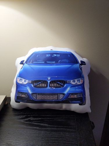 Customer photo review of Create A Custom Car Pillow