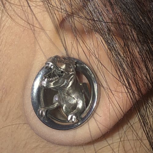 Customer photo review of PAIR T-Rex Dinosaur Plugs