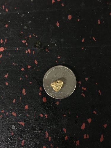 Customer photo review of '$150 NUGGET RUSH' Gold Paydirt - *1 in 3 Bags Contains a Nugget Valued $150* - Jackpot Paydirt