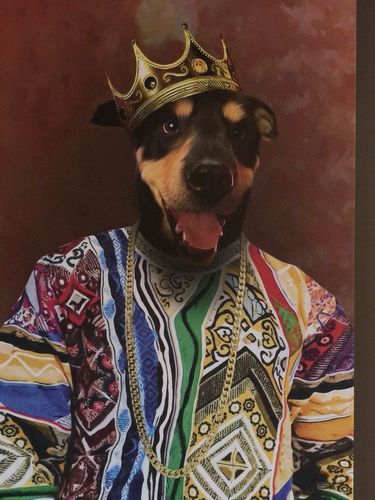 Customer photo review of Notorious D.O.G. Personalized Canvas