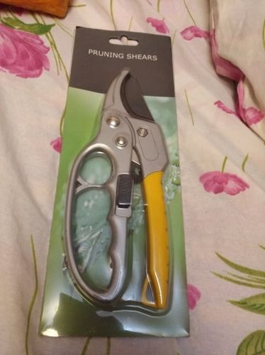 Customer photo review of Pruning Shear Garden Tools Carbon Steel scissors Gardening Pruners