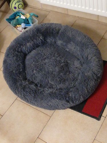 Customer photo review of Lit Apaisant Comfy® |  Pour Chien et Chat