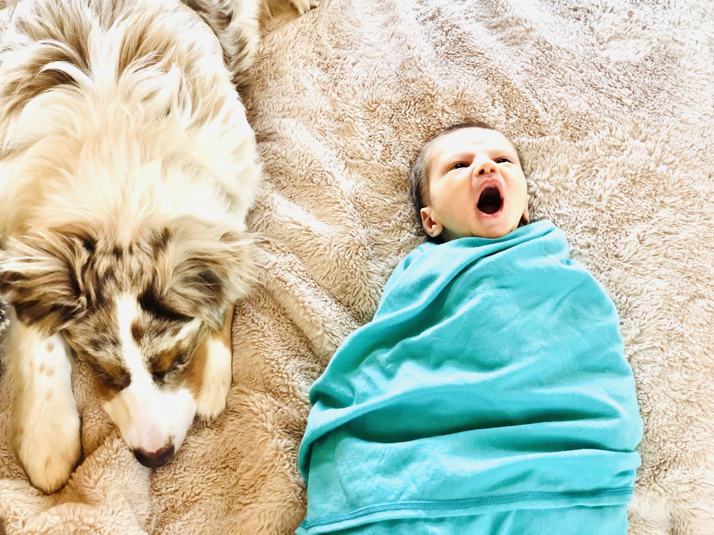 Customer photo review of adventure blanket