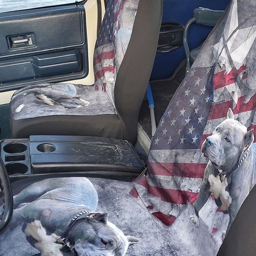 Customer photo review of American Pitbull Universal Fit Car Seat Covers