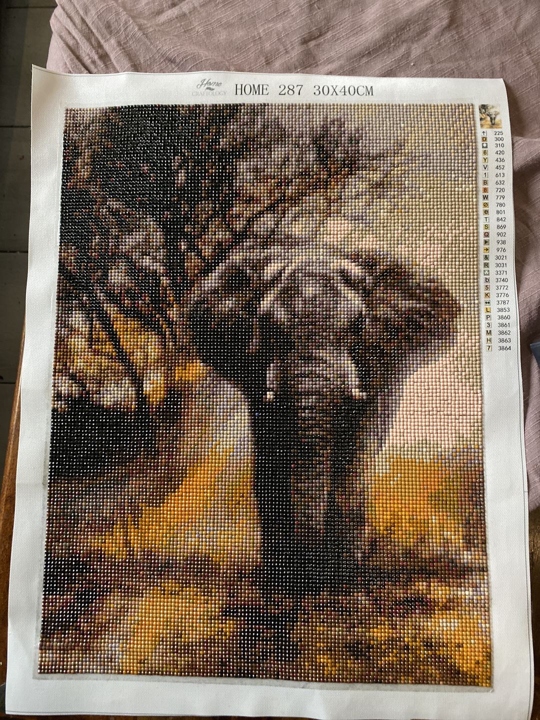 Customer photo review of Elephant - Diamond Painting Kit