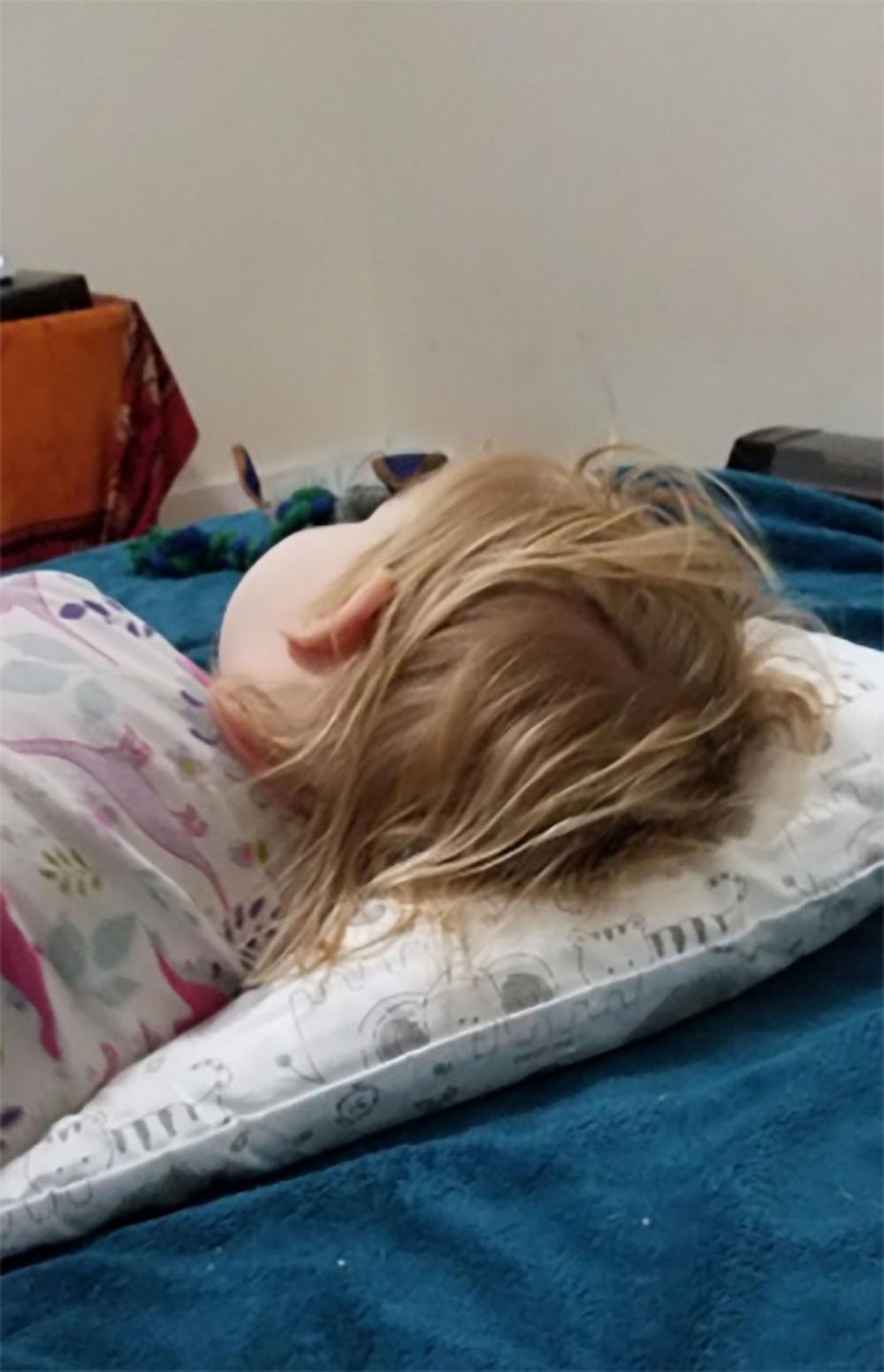 Customer photo review of Toddler Pillow with Cute Pillowcase