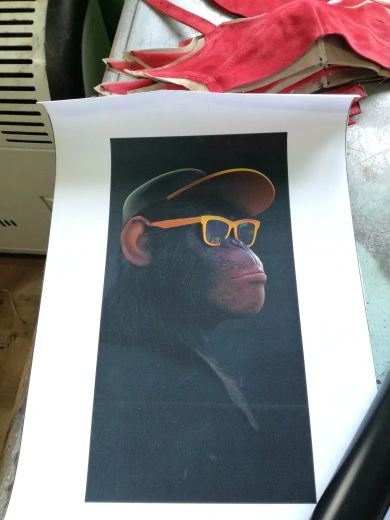 Customer photo review of Toile - 3 Monkeys