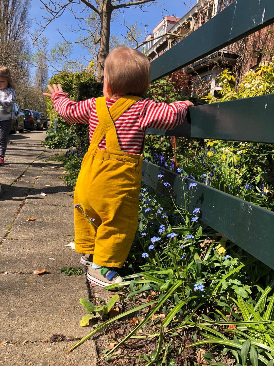 Customer photo review of Gold Classic Dungarees