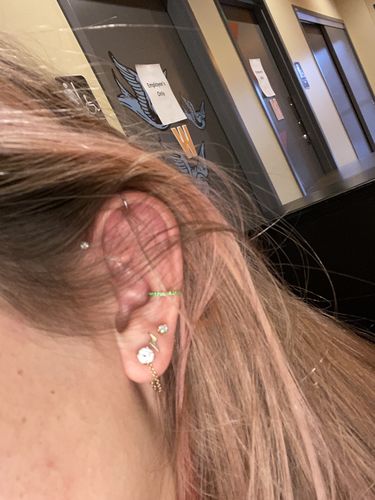 Customer photo review of Micro Paved Gems Hinged Segment Ring