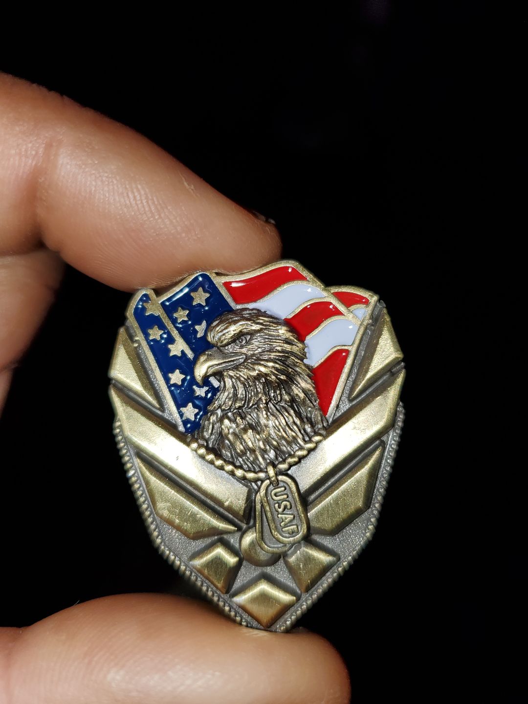 Customer photo review of US Air Force Veteran Pin