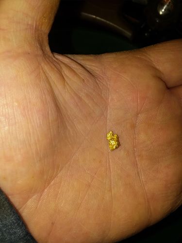 Customer photo review of '$2K NUGGET RUSH' Gold Paydirt - *1 in 50 Bags Contains a Nugget Valued $2,000* - Jackpot Paydirt