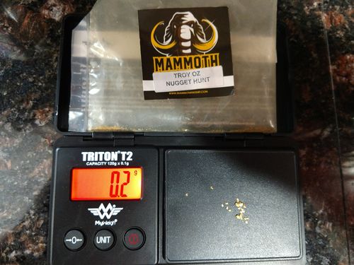 Customer photo review of *New* MAMMOTH 'TROY OUNCE NUGGET HUNT' Gold Paydirt - Gold Paydirt Concentrate