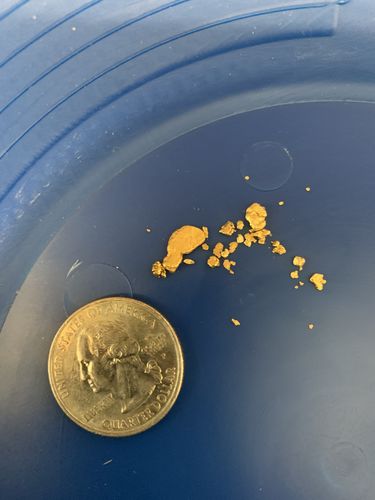 Customer photo review of Pioneer 'NUGGET CHALLENGE' Paydirt - Gold Panning Concentrate