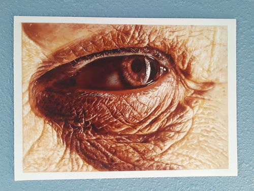 Customer photo review of Classroom in a Box: Textured Skin kit