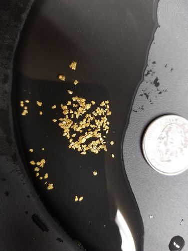 Customer photo review of *New* MAMMOTH 'TROY OUNCE NUGGET HUNT' Gold Paydirt - Gold Paydirt Concentrate
