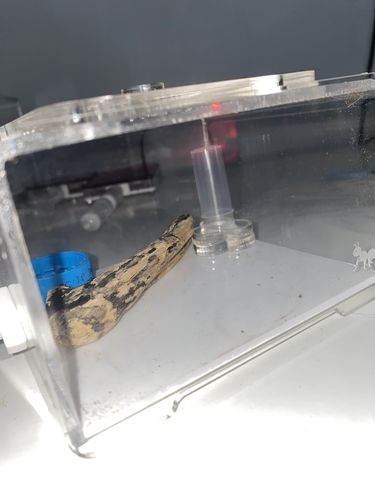 Customer photo review of AntKit Acrylic Arena B500