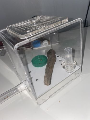 Customer photo review of AntKit Acrylic Arena 1000