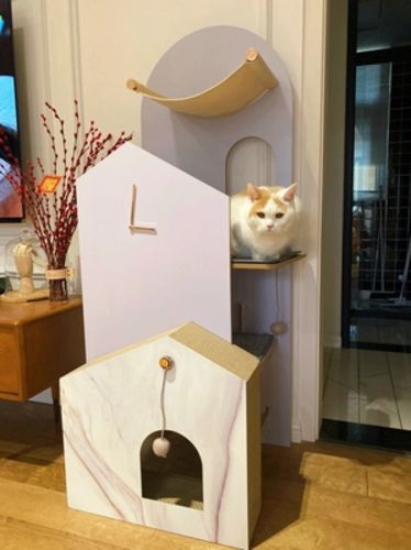 Customer photo review of Furrytail Cat Time Cat Scratching Post Tree | Cat Tower