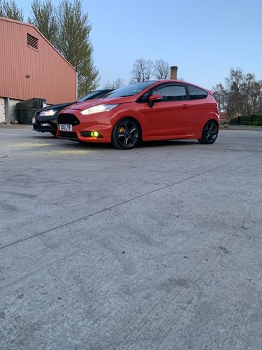 Customer photo review of Fiesta ST180 Fog Light Armour