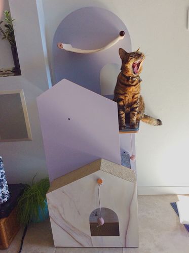 Customer photo review of Furrytail Cat Time Cat Scratching Post Tree | Cat Tower