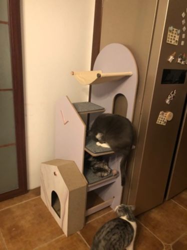 Customer photo review of Furrytail Cat Time Cat Scratching Post Tree | Cat Tower