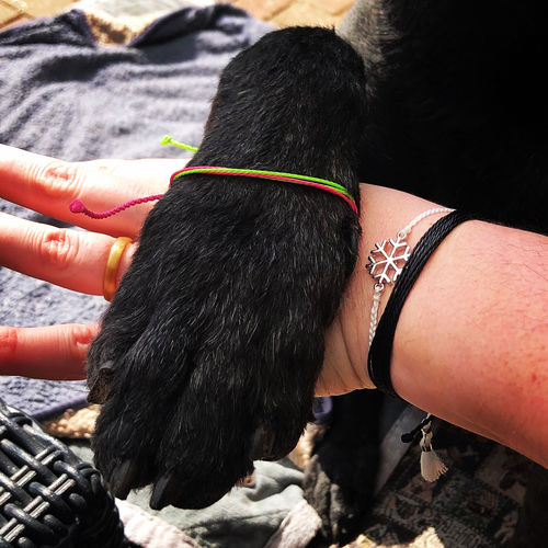 Customer photo review of Anxiety Awareness