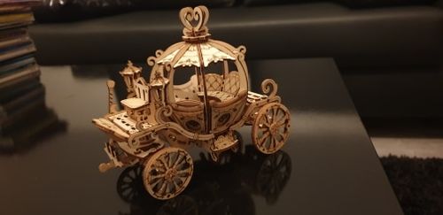 Customer photo review of 3D Wooden Puzzle Model Kits - Collection 1