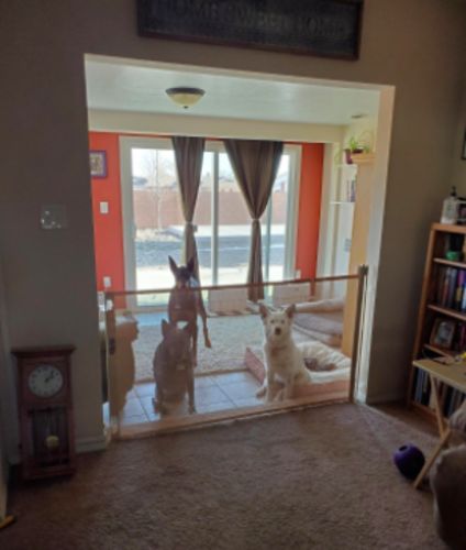 Customer photo review of ModernSafety™ Retractable Gate