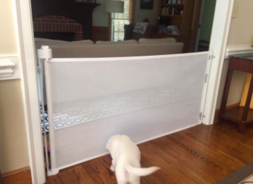 Customer photo review of ModernSafety™ Retractable Gate