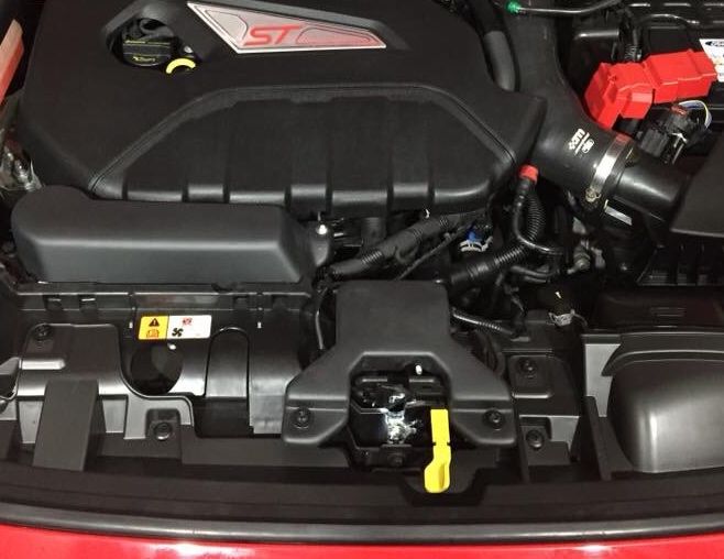 Customer photo review of Bonnet Catch Plate Cover (various colours) - MK7.5 Fiesta