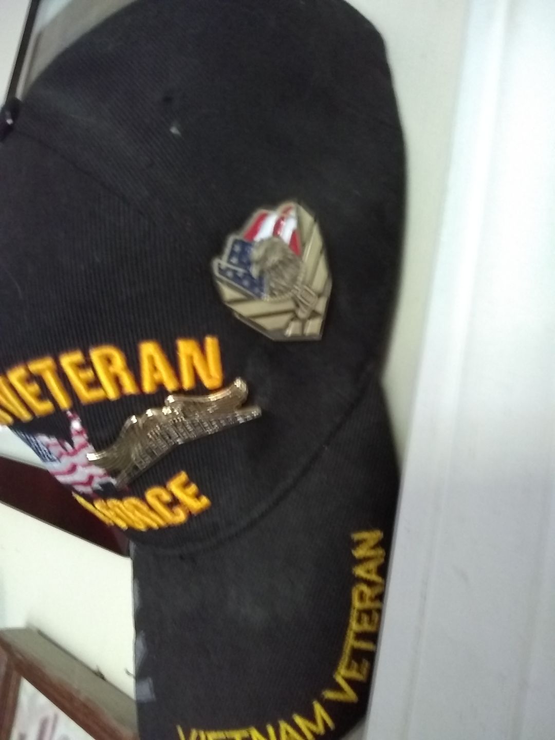 Customer photo review of US Air Force Veteran Pin