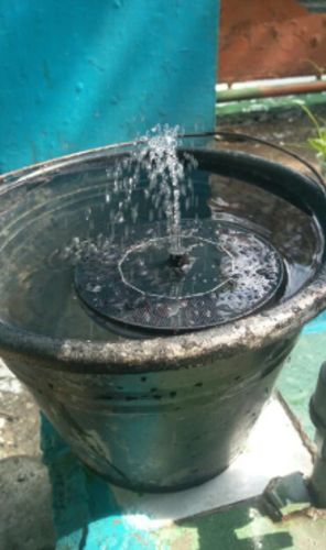 Customer photo review of 【60% OFF】Solar-Powered Bird Fountain Kit - No Setup!