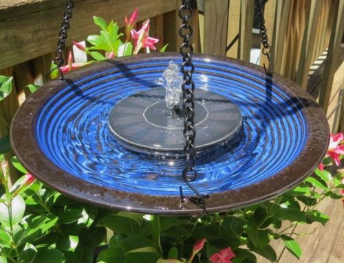 Customer photo review of 【60% OFF】Solar-Powered Bird Fountain Kit - No Setup!
