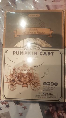 Customer photo review of 3D Wooden Puzzle Model Kits - Collection 1