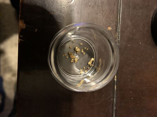 Customer photo review of *New* 2020 NUGGET RESERVE 'CLUNKER' Gold Paydirt Panning Unsearched