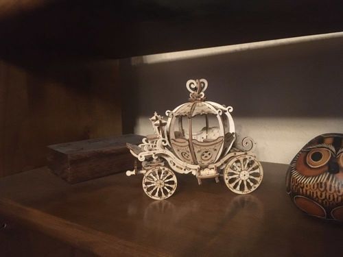 Customer photo review of 3D Wooden Puzzle Model Kits - Collection 1