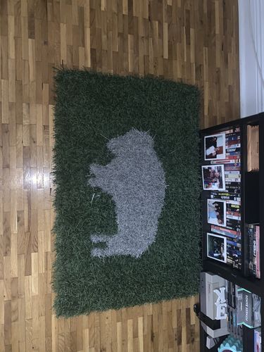 Customer photo review of Buffalo Inlay - Field & Sideline