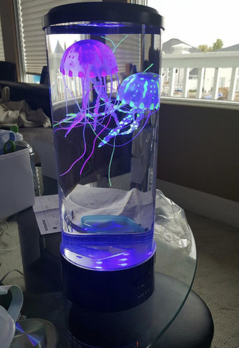 Customer photo review of MEDULIGHT® - LA LAMPE D'ÉVASION