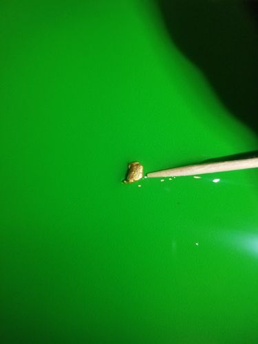 Customer photo review of *BOGO* Pioneer '2 OUNCE NUGGET HUNT' - Gold Panning Paydirt Concentrate
