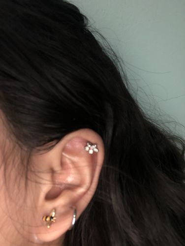 Customer photo review of Flower Cartilage and Tragus Ring with Opalite Petals