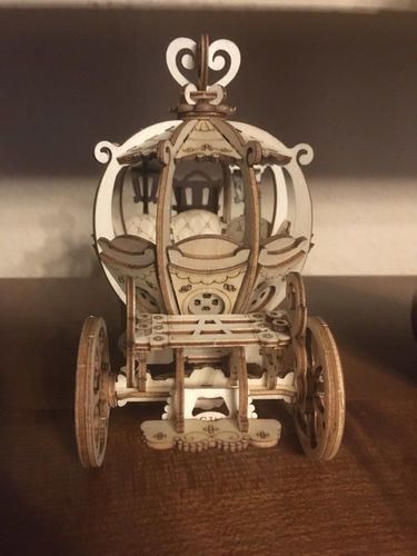 Customer photo review of 3D Wooden Puzzle Model Kits - Collection 1