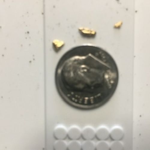 Customer photo review of *BOGO* Pioneer '2 OUNCE NUGGET HUNT' - Gold Panning Paydirt Concentrate