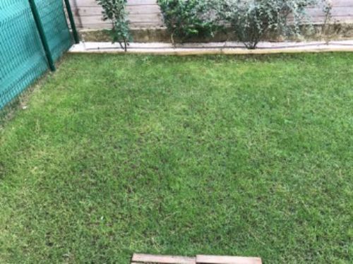 Customer photo review of Pulvérisateur de semences innovant - Magic Brico™